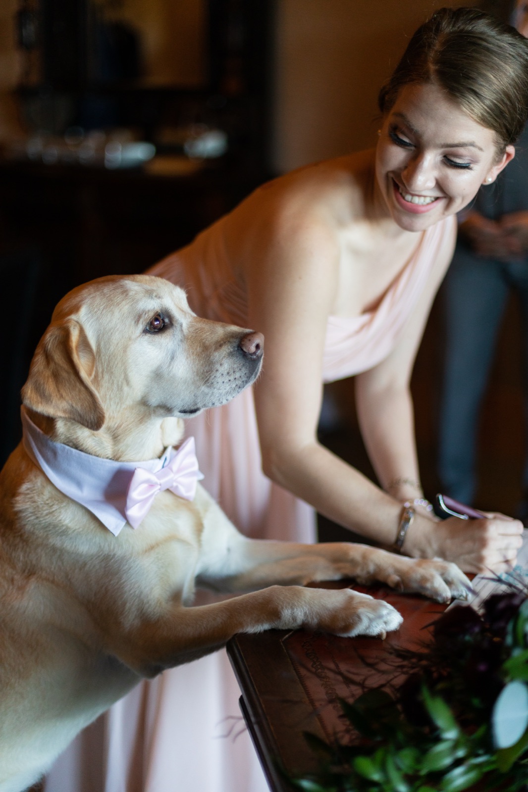 Yellow lab in a pink bow tie rests paws on a table while a smiling bridesmaid in blush leans in
