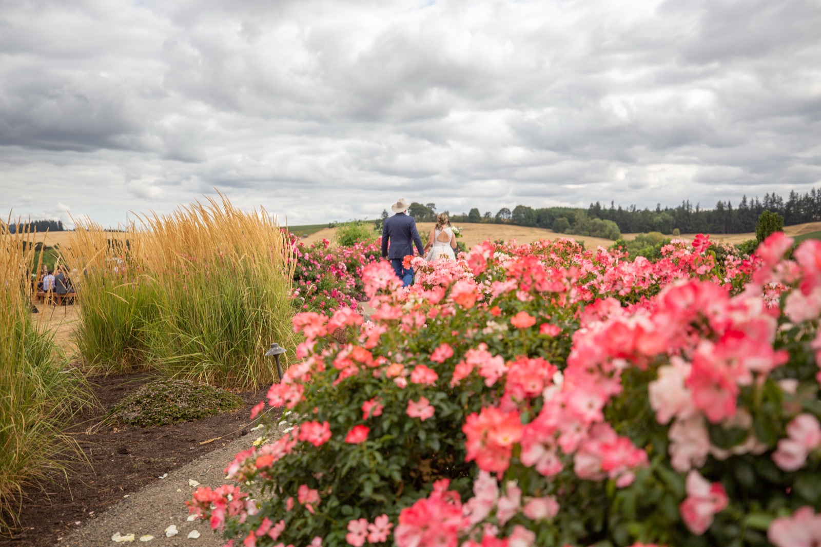 Bride and groom in a cowboy hat walking away through a garden of pink roses under a cloudy sky