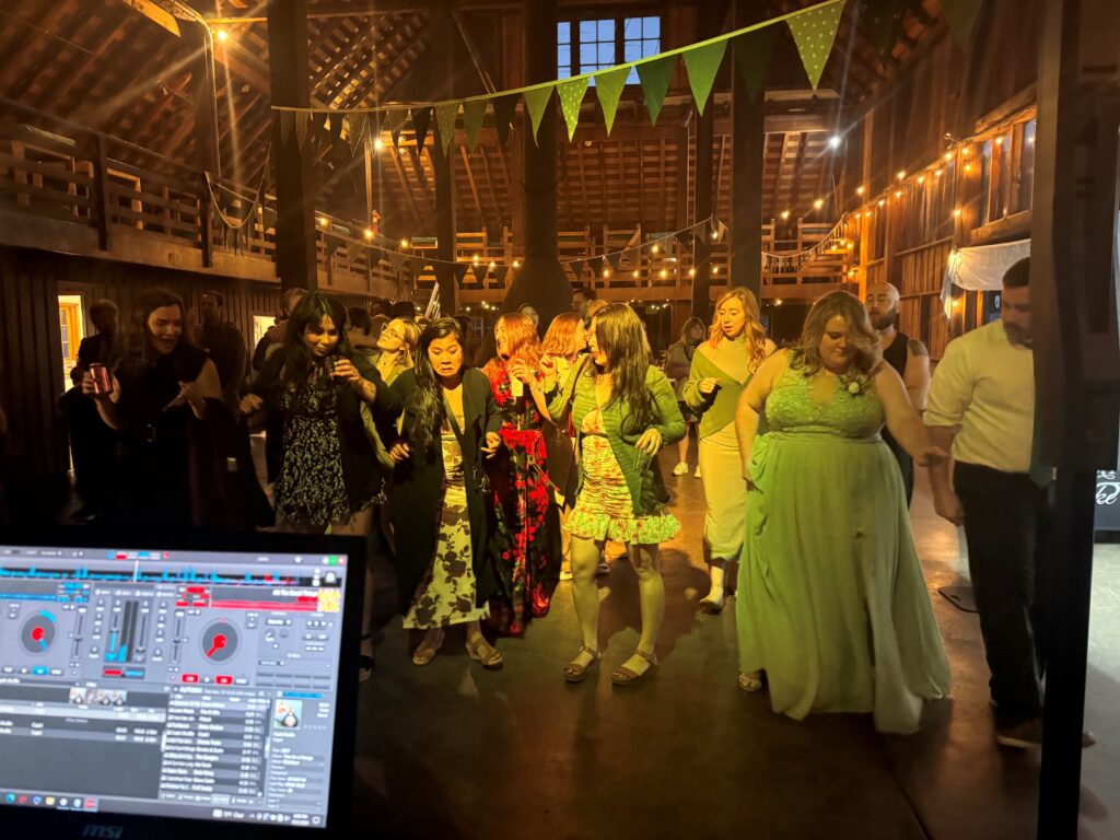 Hire the Best Corporate DJ for your Events