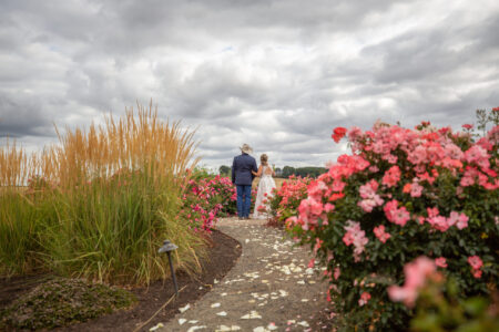 Romantic couple portrait bride groom walking through pink rose garden at Oregon vineyard wedding